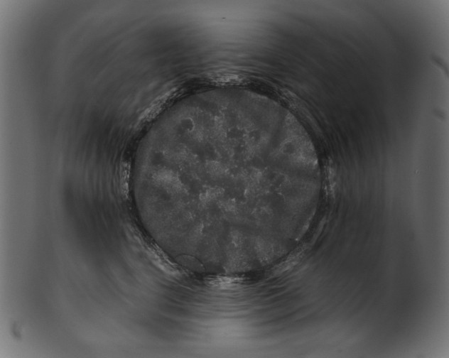 X0000100880664200807181300