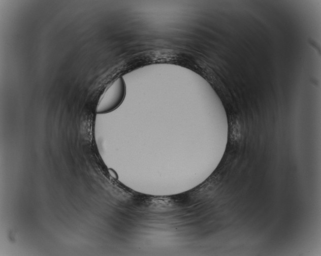 X0000100880666200807181300