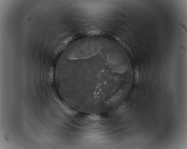 X0000100880668200807181300