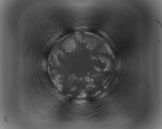 X0000100880669200807181300