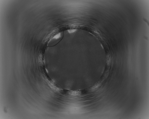 X0000100880670200807181300