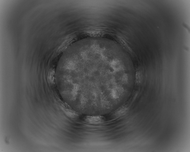 X0000100880671200807181300