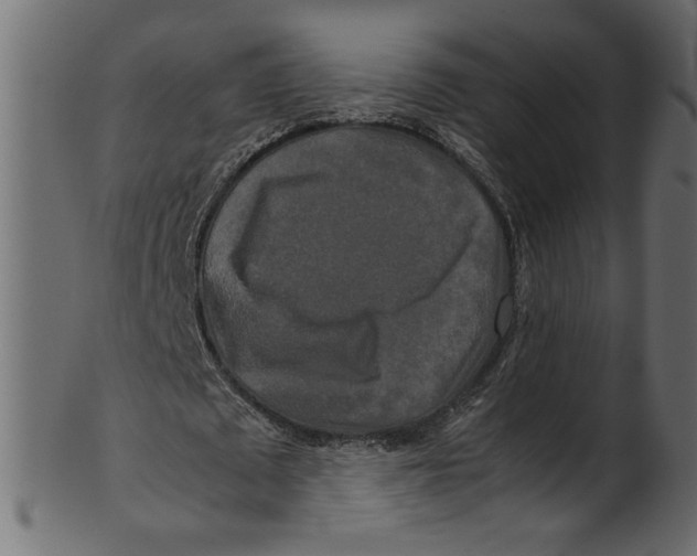 X0000100880673200807181300