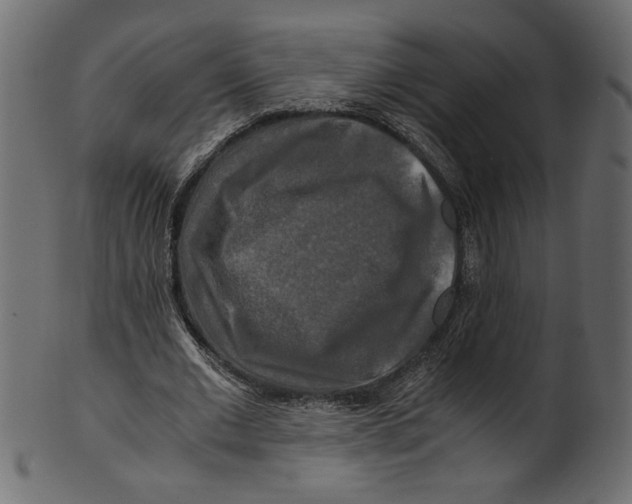 X0000100880677200807181259