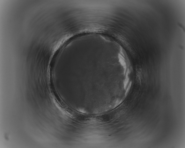 X0000100880678200807181259