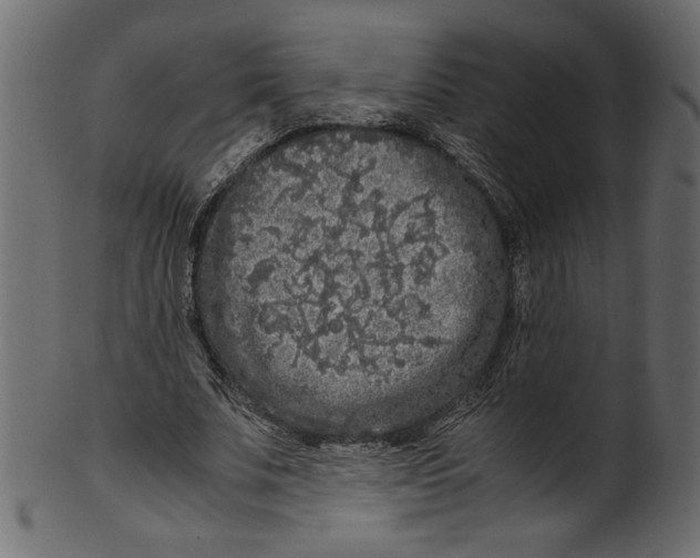 X0000100880679200807181259