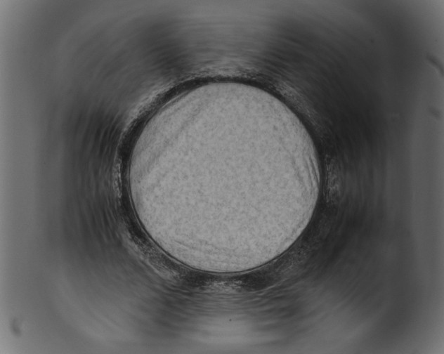 X0000100880680200807181259