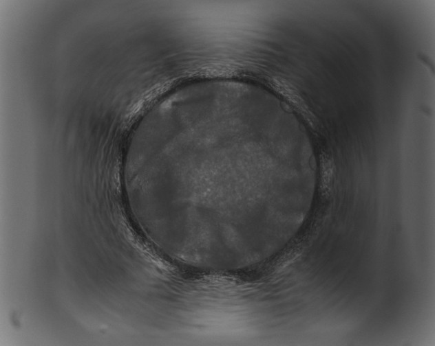 X0000100880681200807181259