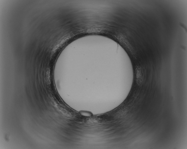 X0000100880684200807181259