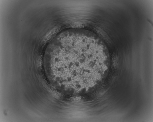 X0000100880687200807181259