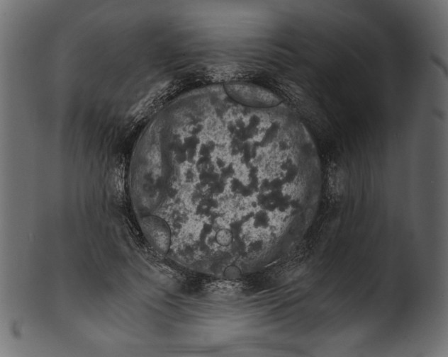 X0000100880691200807181259