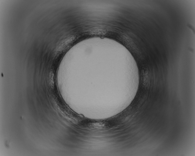 X0000100880692200807181259