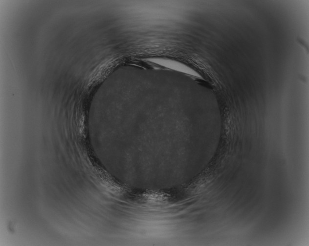 X0000100880693200807181259