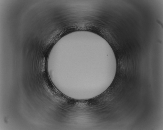 X0000100880694200807181259