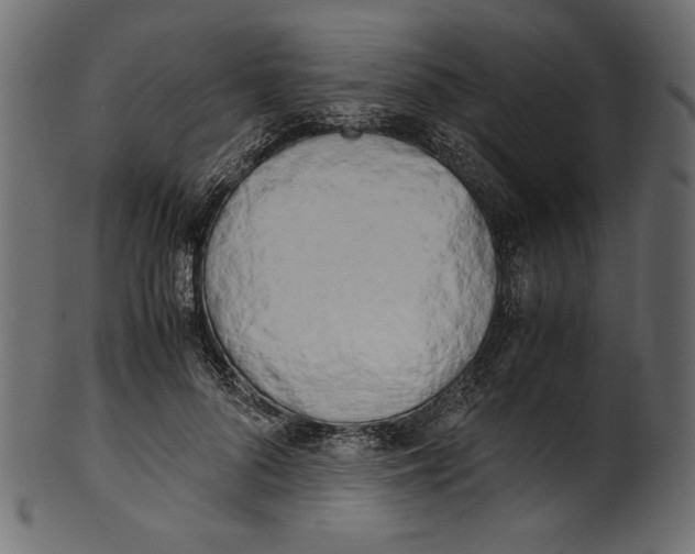 X0000100880696200807181259