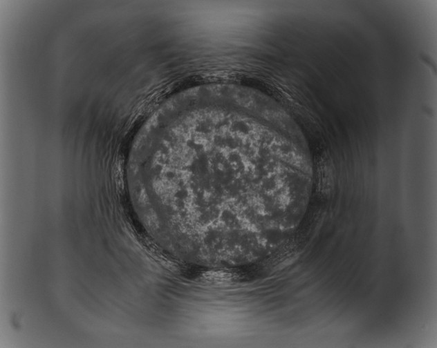 X0000100880699200807181259