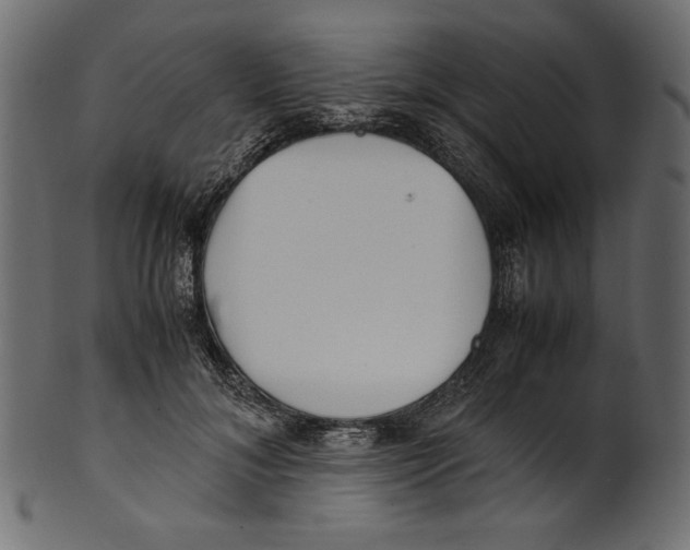 X0000100880700200807181259