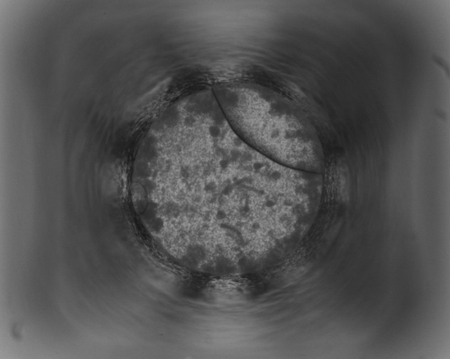 X0000100880703200807181259