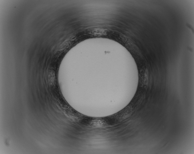 X0000100880704200807181259