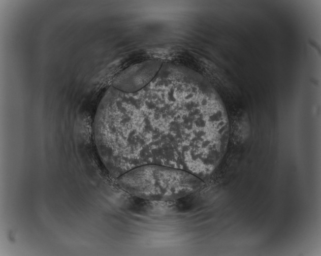 X0000100880707200807181259