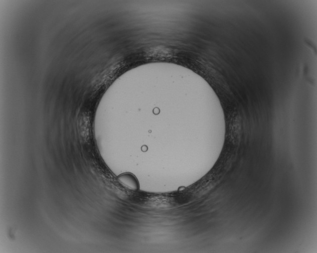 X0000100880708200807181259