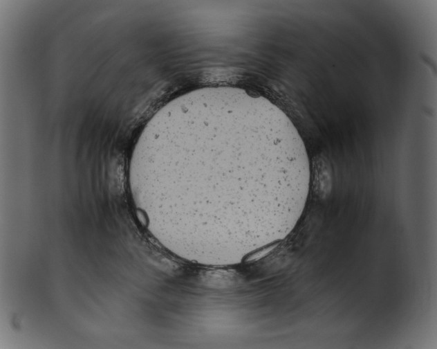 X0000100880716200807181259