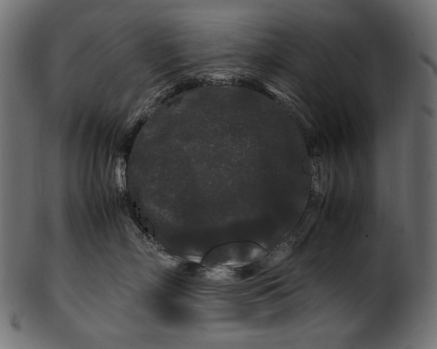 X0000100880718200807181259