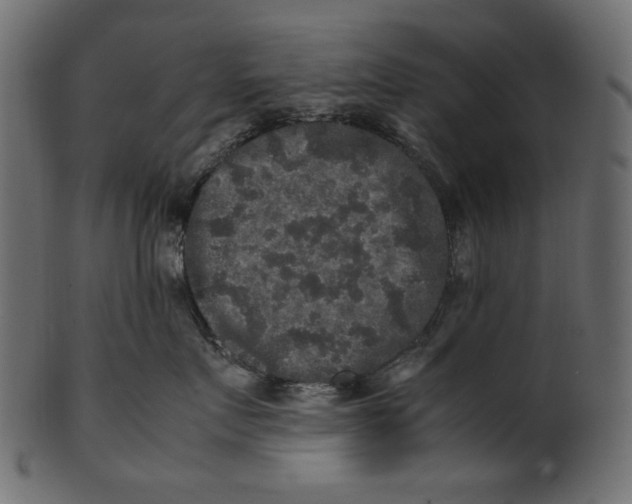 X0000100880719200807181259