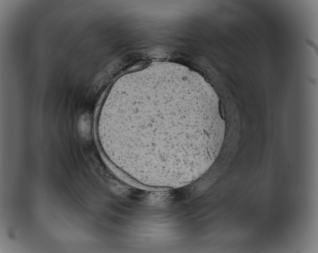 X0000100880720200807181259