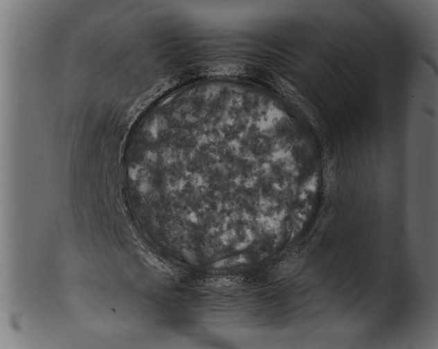 X0000100880721200807181258