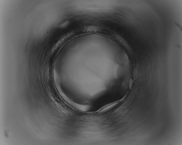 X0000100880722200807181258