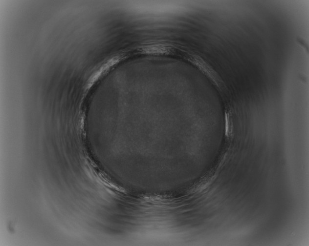 X0000100880723200807181258