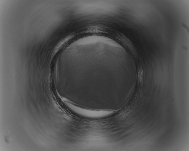 X0000100880724200807181258