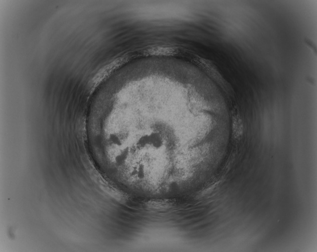 X0000100880725200807181258