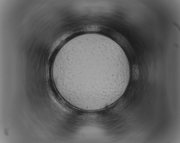 X0000100880726200807181258