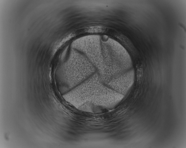 X0000100880727200807181258