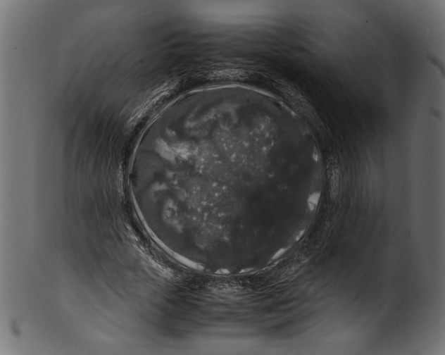 X0000100880729200807181258