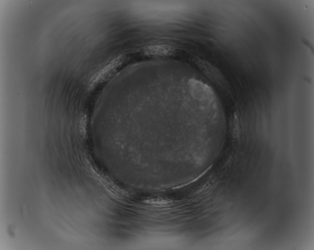 X0000100880735200807181258