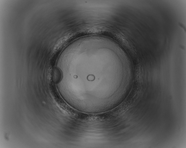 X0000100880736200807181258