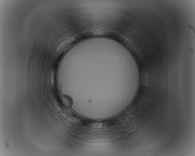 X0000100880740200807181258