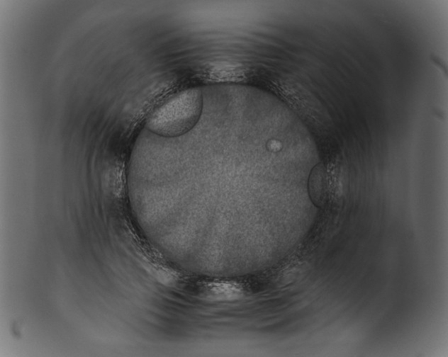 X0000100880741200807181258