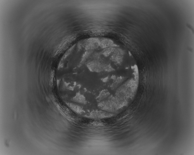 X0000100880742200807181258