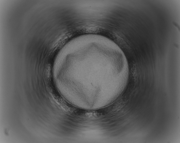 X0000100880744200807181258