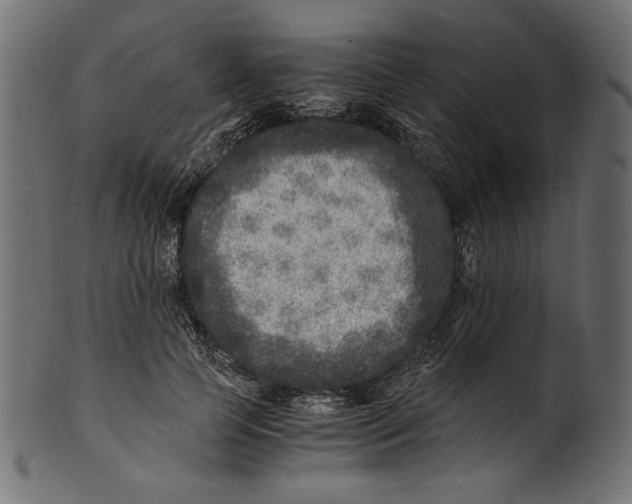 X0000100880745200807181258