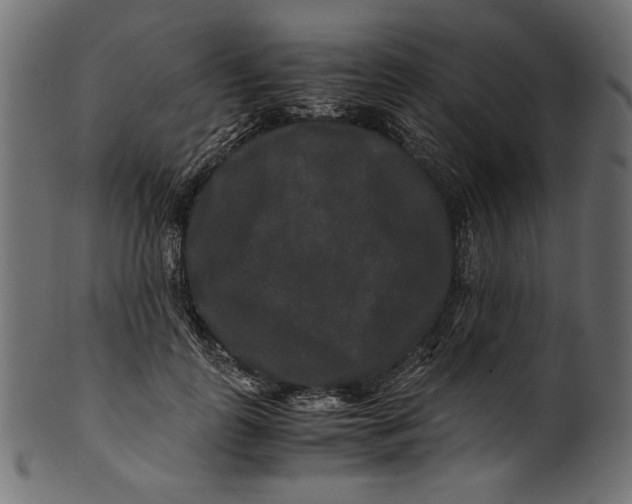 X0000100880747200807181258