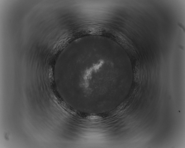 X0000100880748200807181258