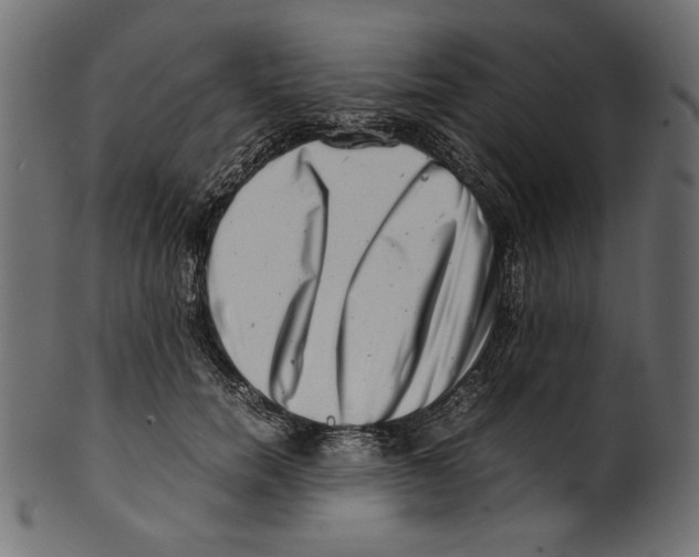 X0000100880750200807181258