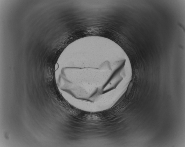 X0000100880751200807181258