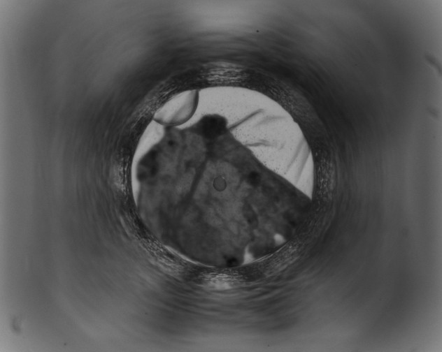 X0000100880755200807181259