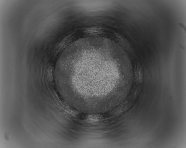 X0000100880757200807181259